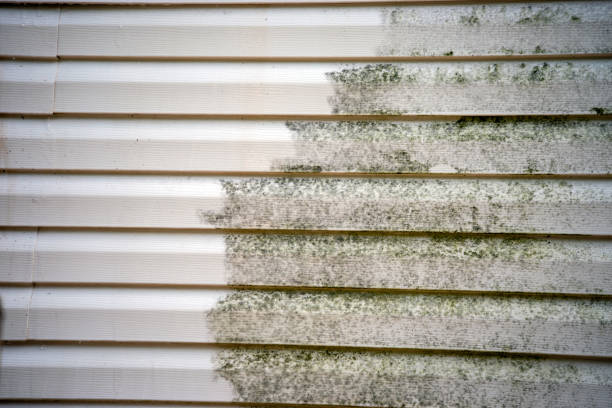 How To Choose The Right Materials for Your Siding Installation in 'Cloquet, MN